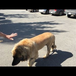 Meet your Posher, Karin